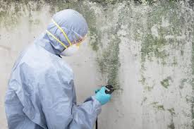 Best Mold Documentation for Insurance Claims  in Hewlett Harbor, NY